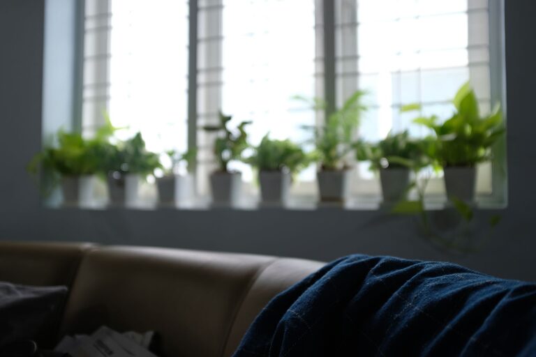 Easy Tips for Creating a Relaxing Home Environment on a Budget